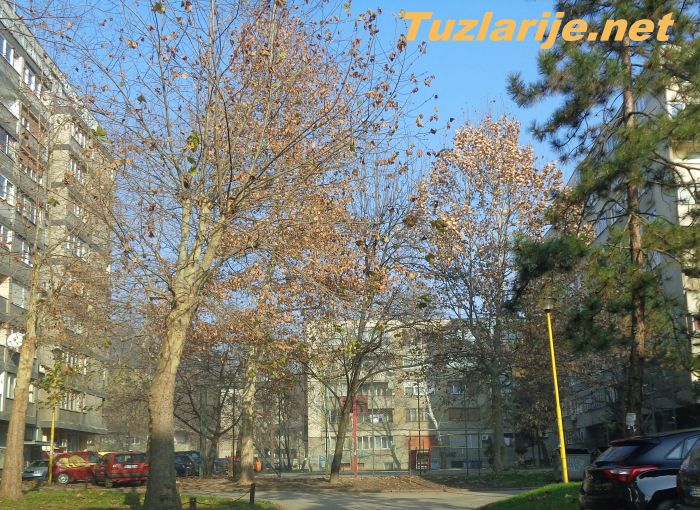 Tuzlarije