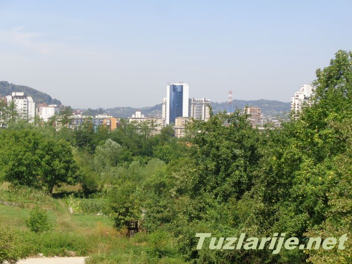 Tuzlarije