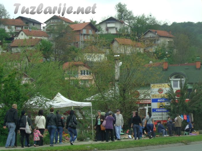 Tuzlarije