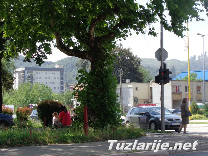Tuzlarije