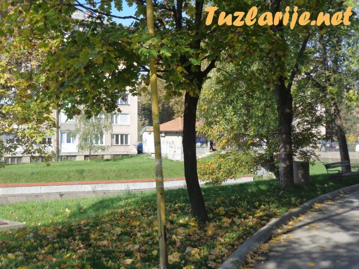 Tuzlarije