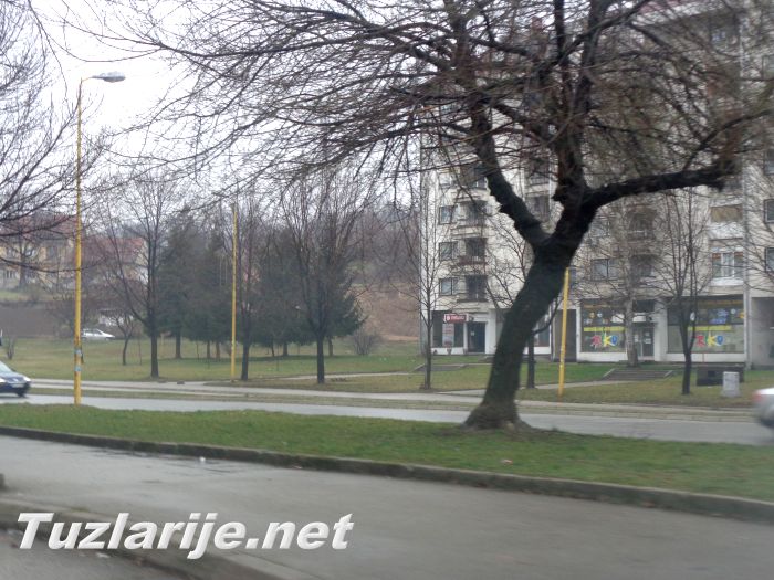 Tuzlarije