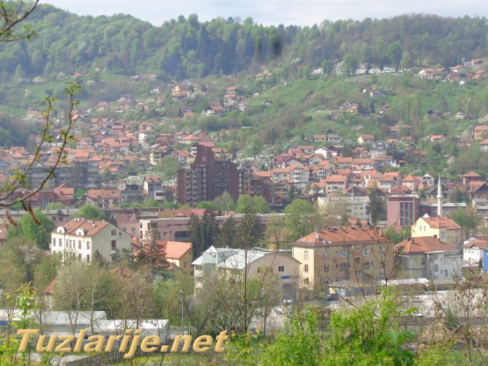 Tuzlarije