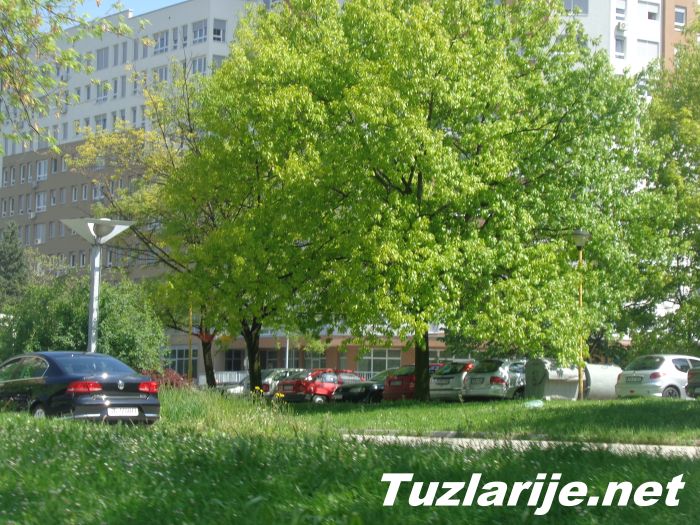 Tuzlarije