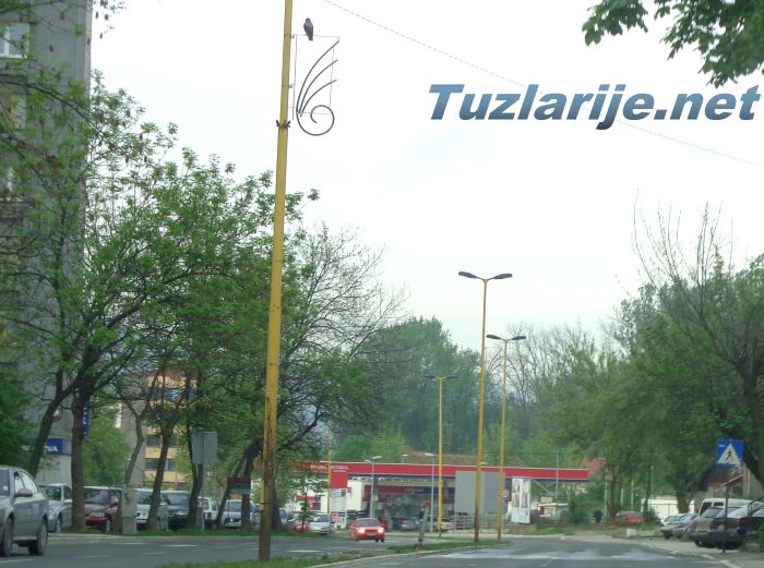 Tuzlarije