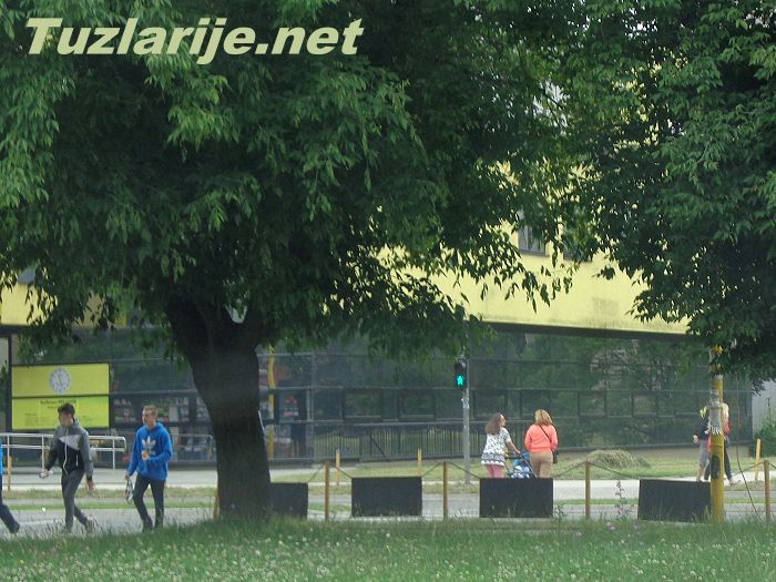 Tuzlarije
