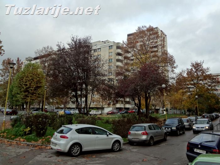 Tuzlarije
