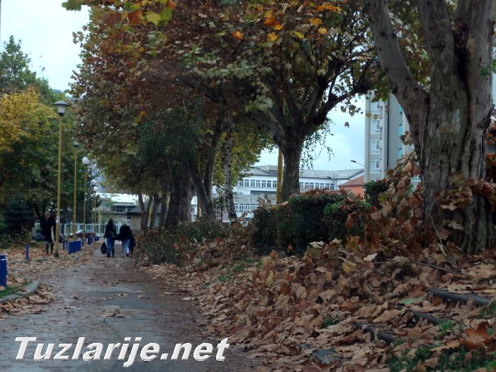Tuzlarije
