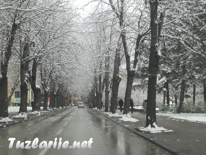 Tuzlarije