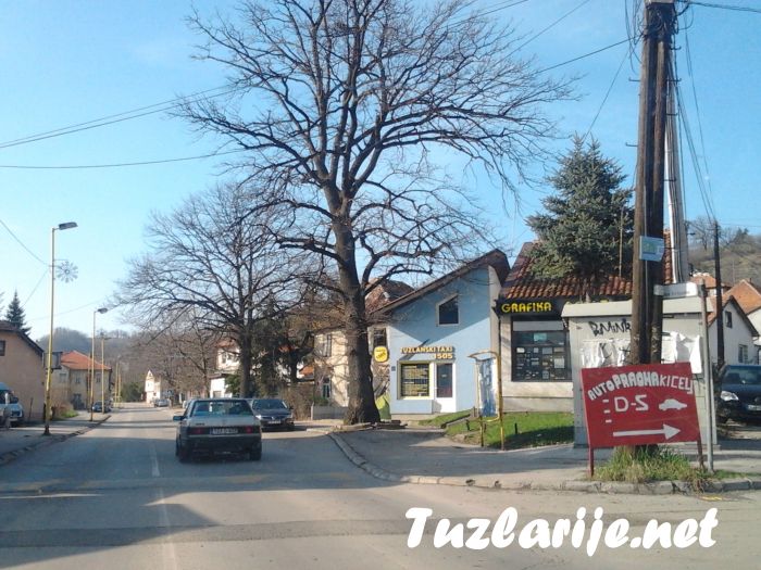 Tuzlarije