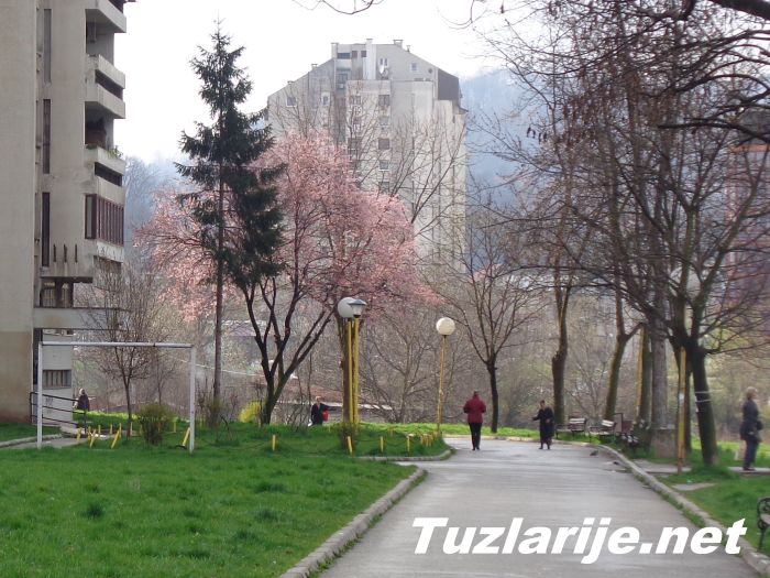 Tuzlarije