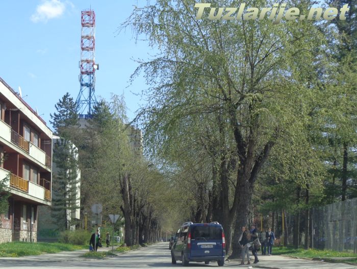Tuzlarije