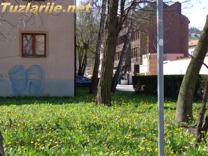 Tuzlarije