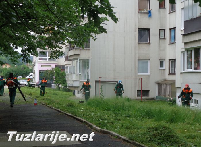 Tuzlarije