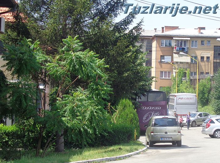 Tuzlarije
