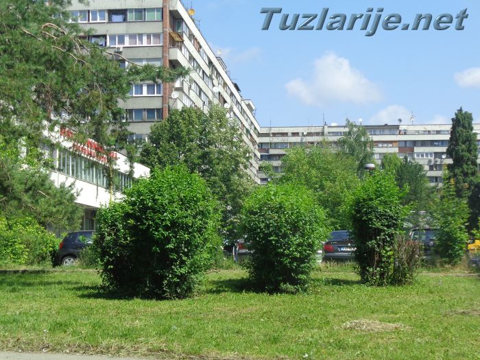 Tuzlarije