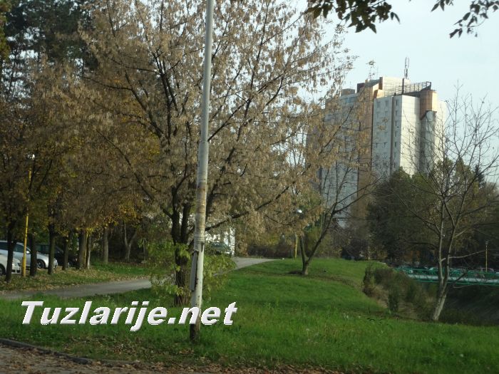 Tuzlarije