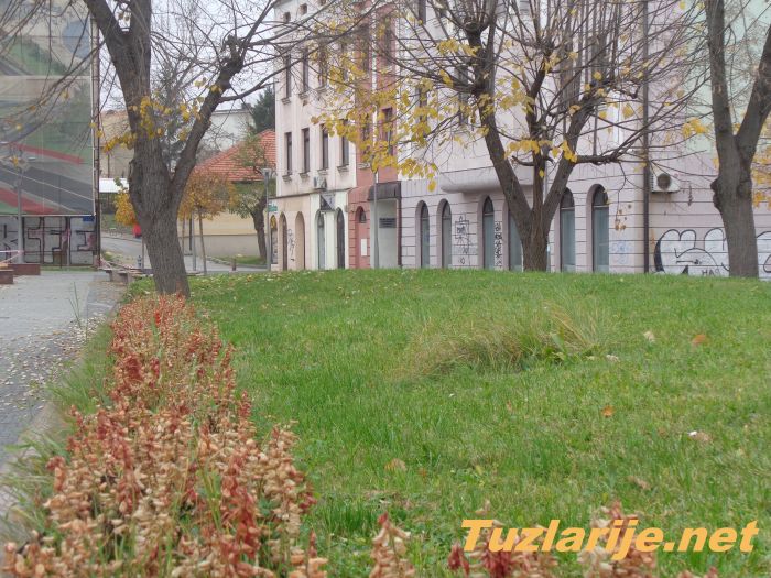 Tuzlarije