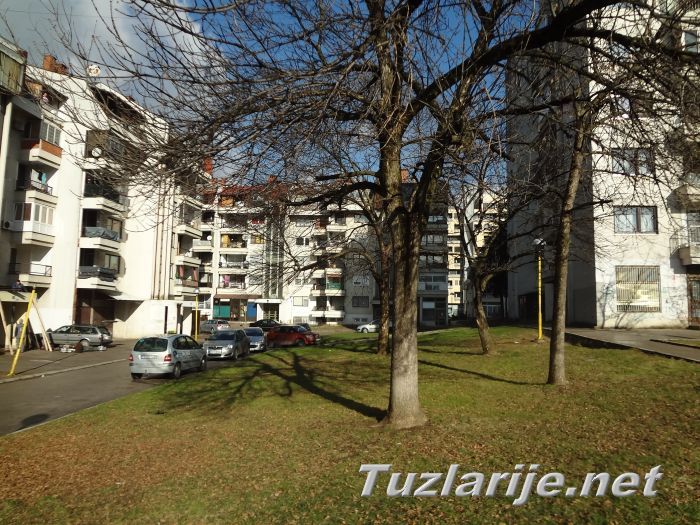 Tuzlarije