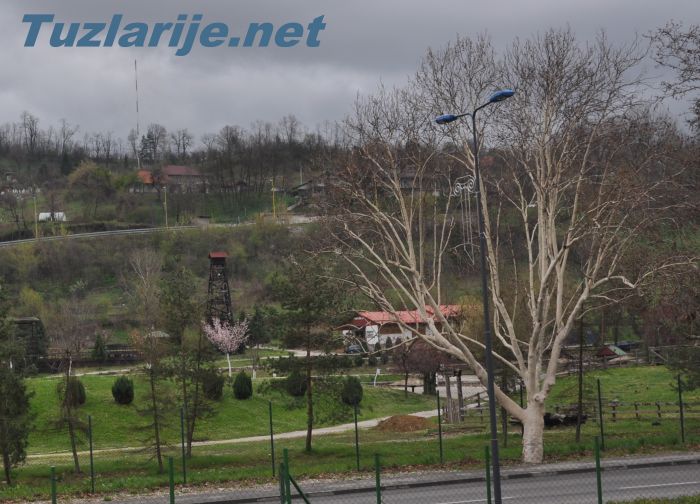 Tuzlarije