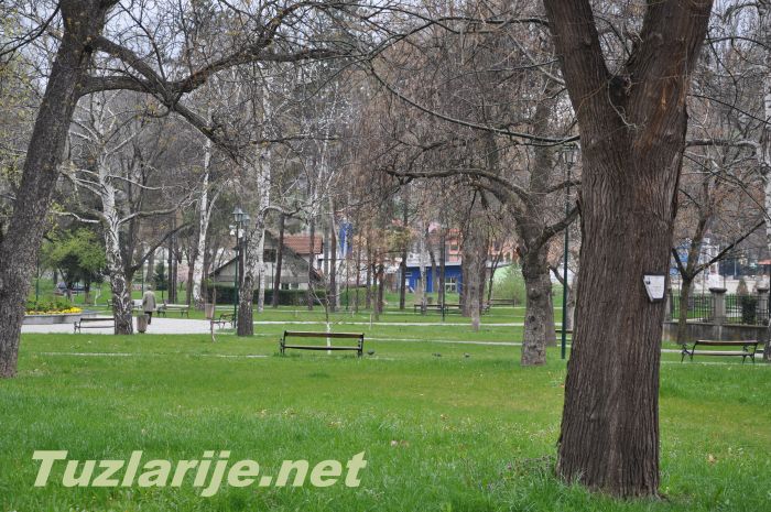 Tuzlarije
