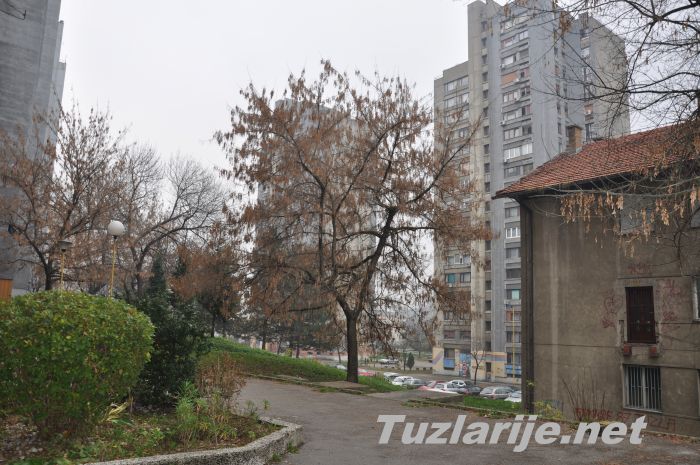 Tuzlarije