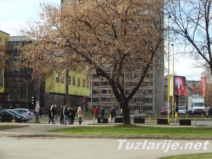 Tuzlarije