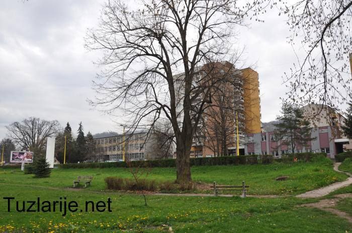 Tuzlarije