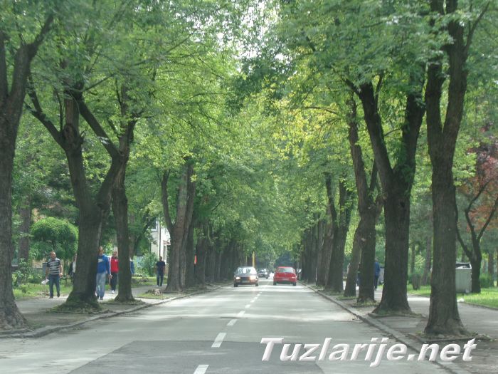 Tuzlarije