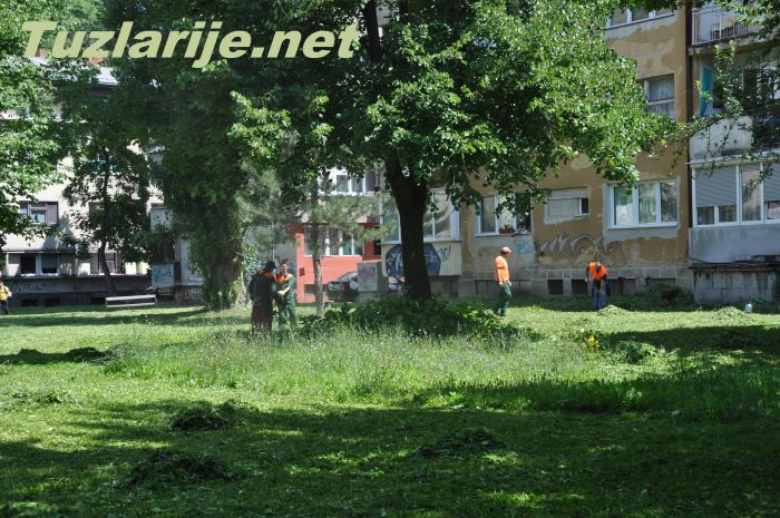 Tuzlarije