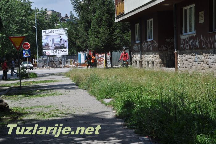 Tuzlarije