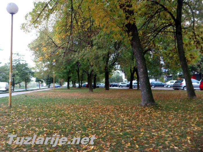 Tuzlarije