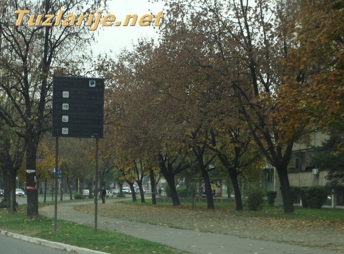 Tuzlarije