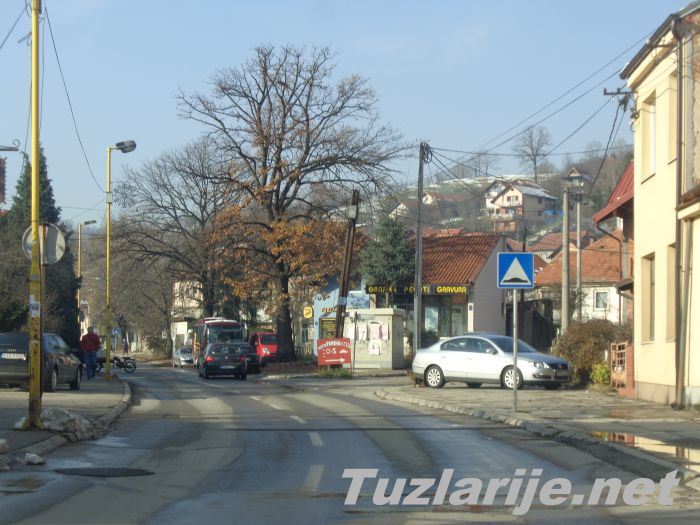 Tuzlarije