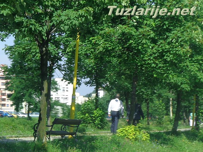 Tuzlarije