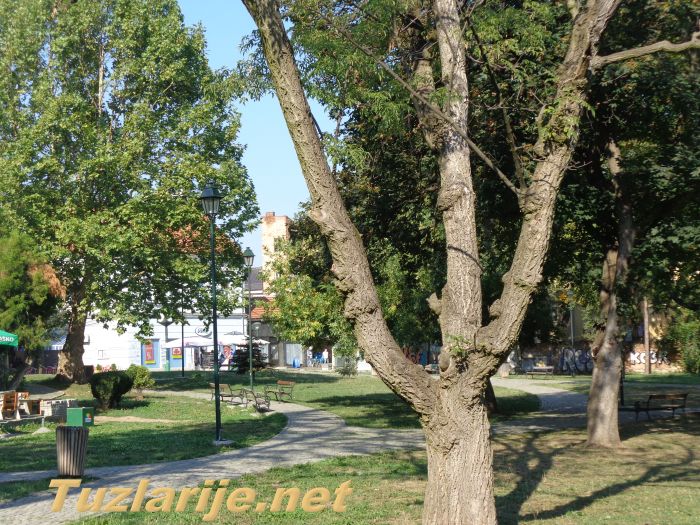Tuzlarije