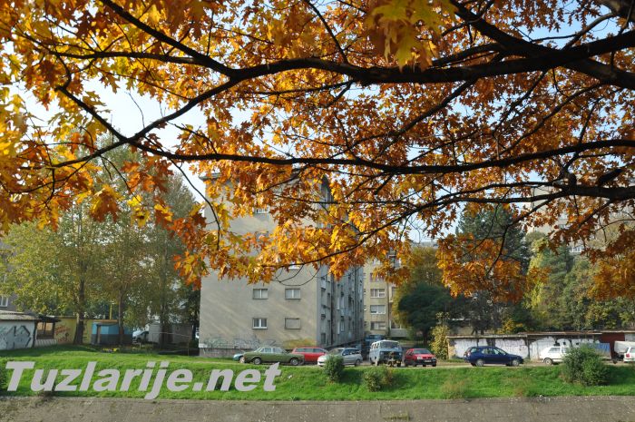 Tuzlarije