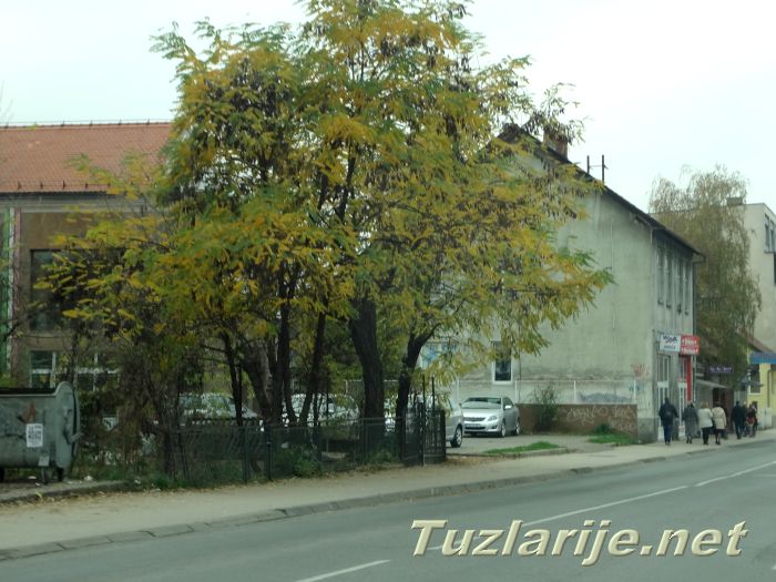 Tuzlarije