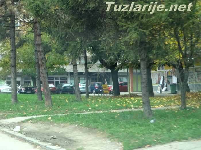 Tuzlarije