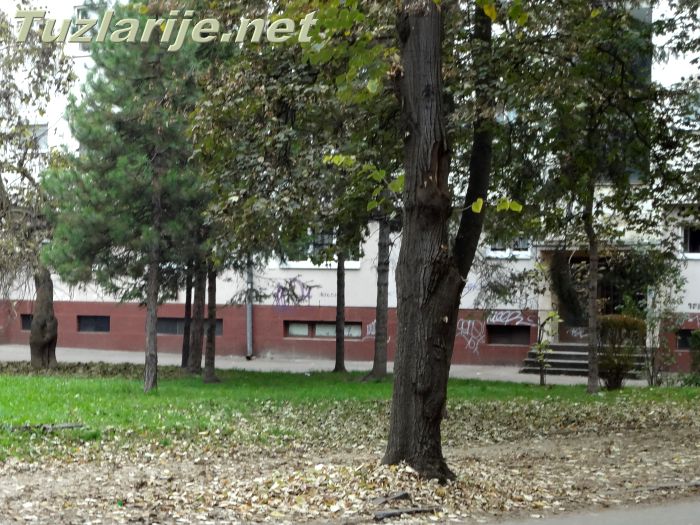 Tuzlarije