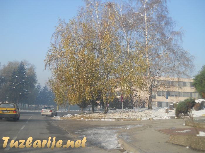 Tuzlarije
