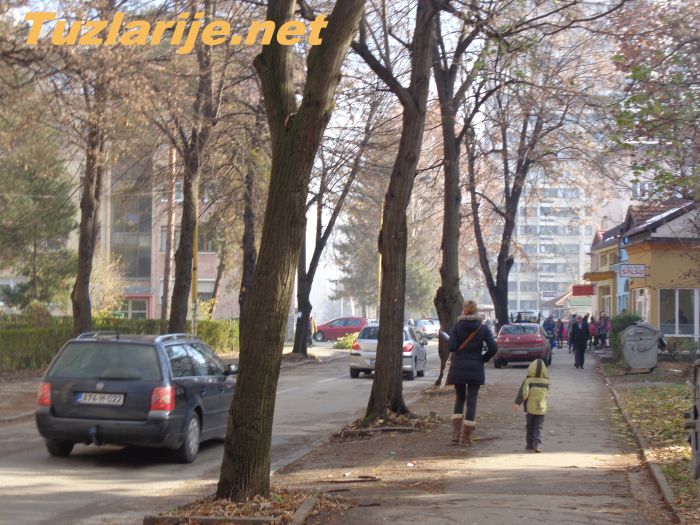 Tuzlarije