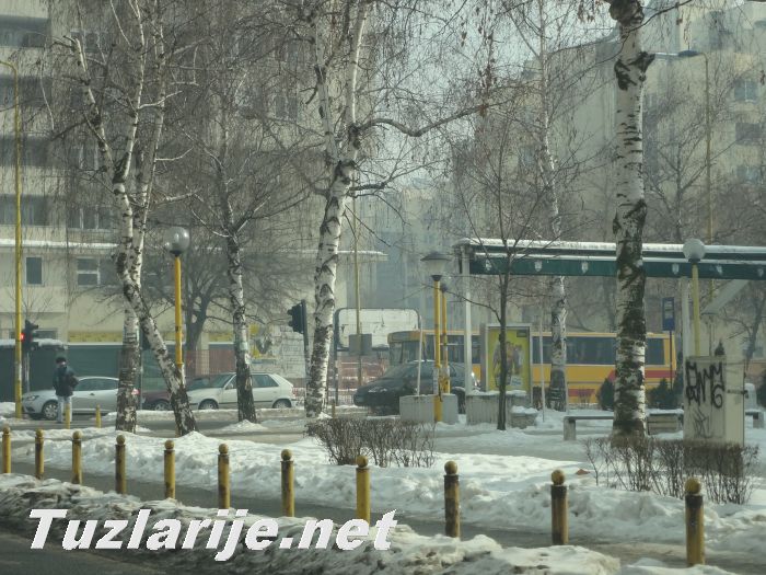 Tuzlarije
