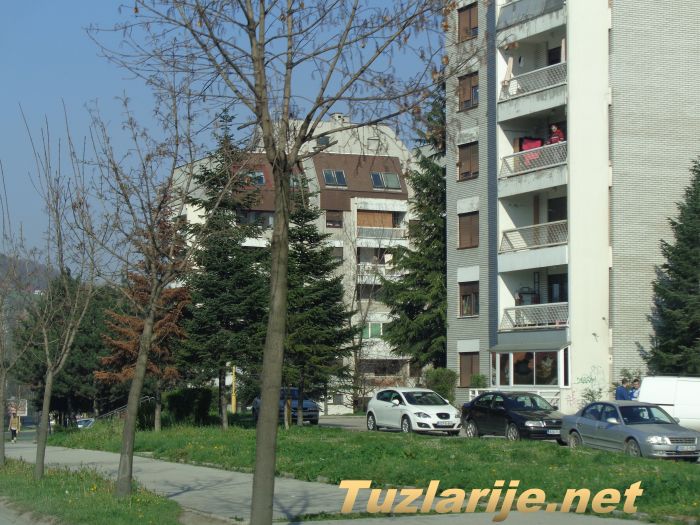 Tuzlarije