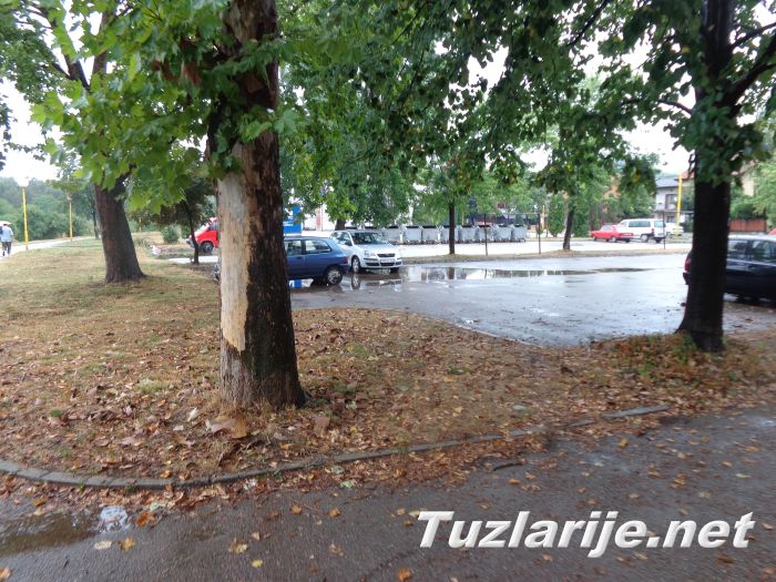 Tuzlarije