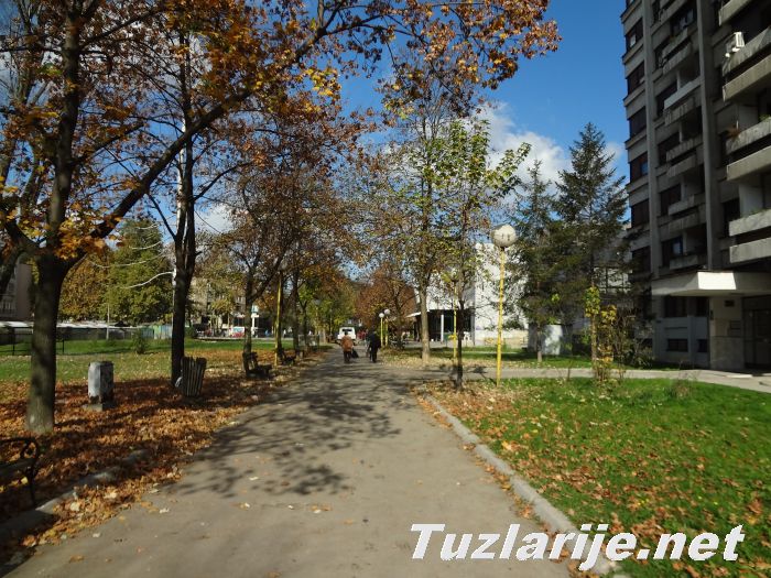 Tuzlarije