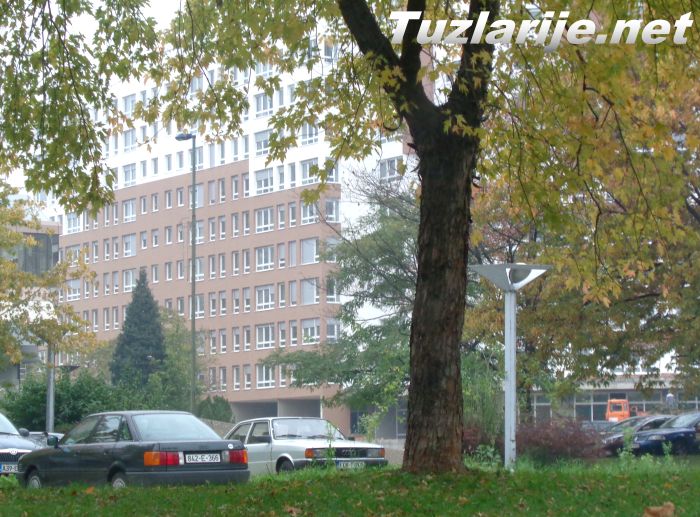 Tuzlarije