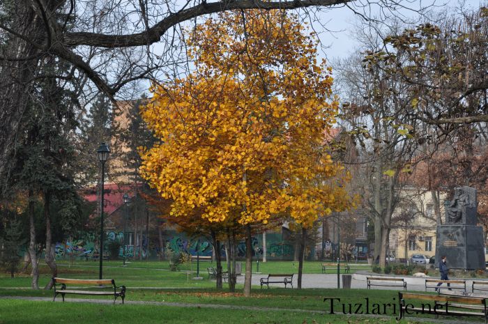 Tuzlarije
