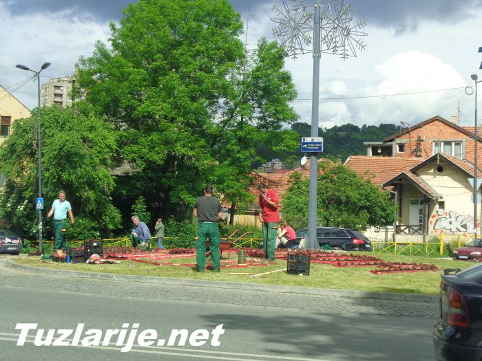 Tuzlarije
