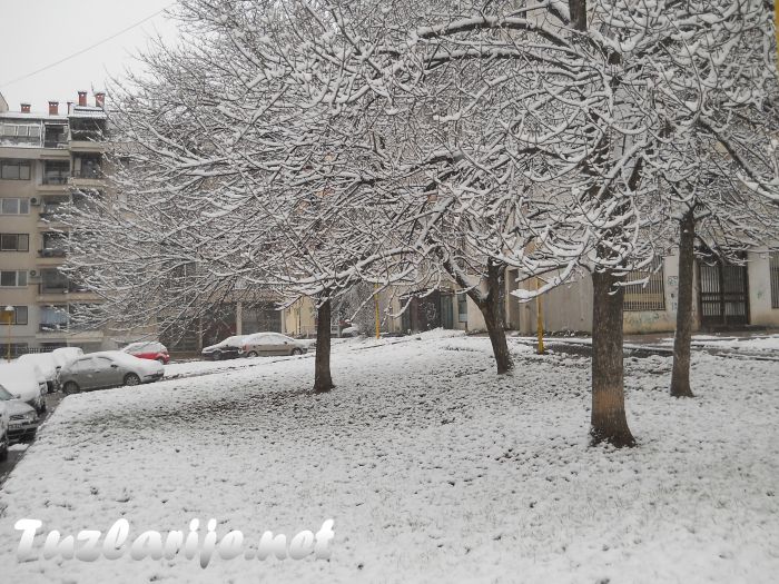Tuzlarije
